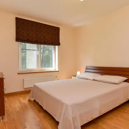 Vanagupes Apartamentai Palangoje Apartment